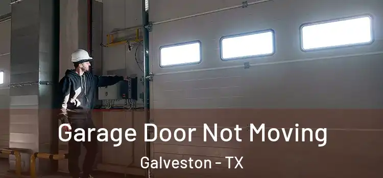  Garage Door Not Moving Galveston - TX