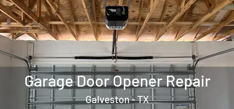  Garage Door Opener Repair Galveston - TX